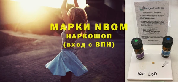 индика Богородск
