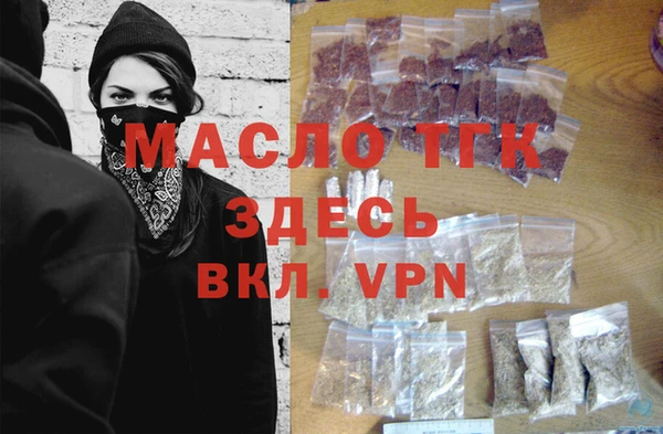 спиды Богородицк